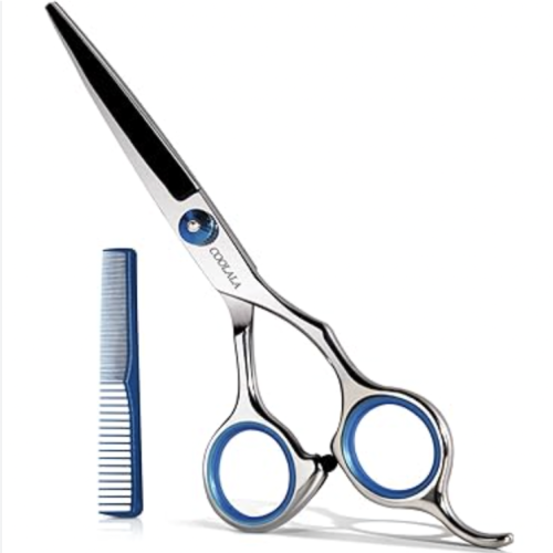 Professional Styling Scissors